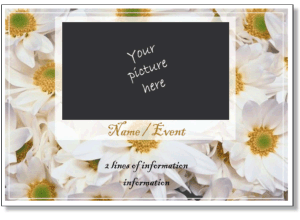 All invitation and announcement templates